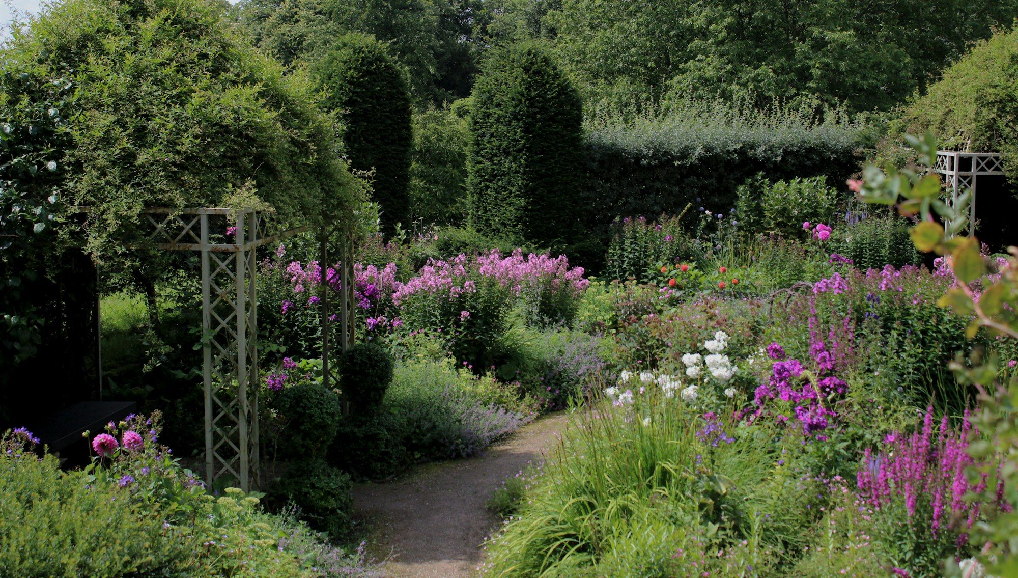 Deep perennial border of phlox and loosestrife beside a gravel path with an arbor