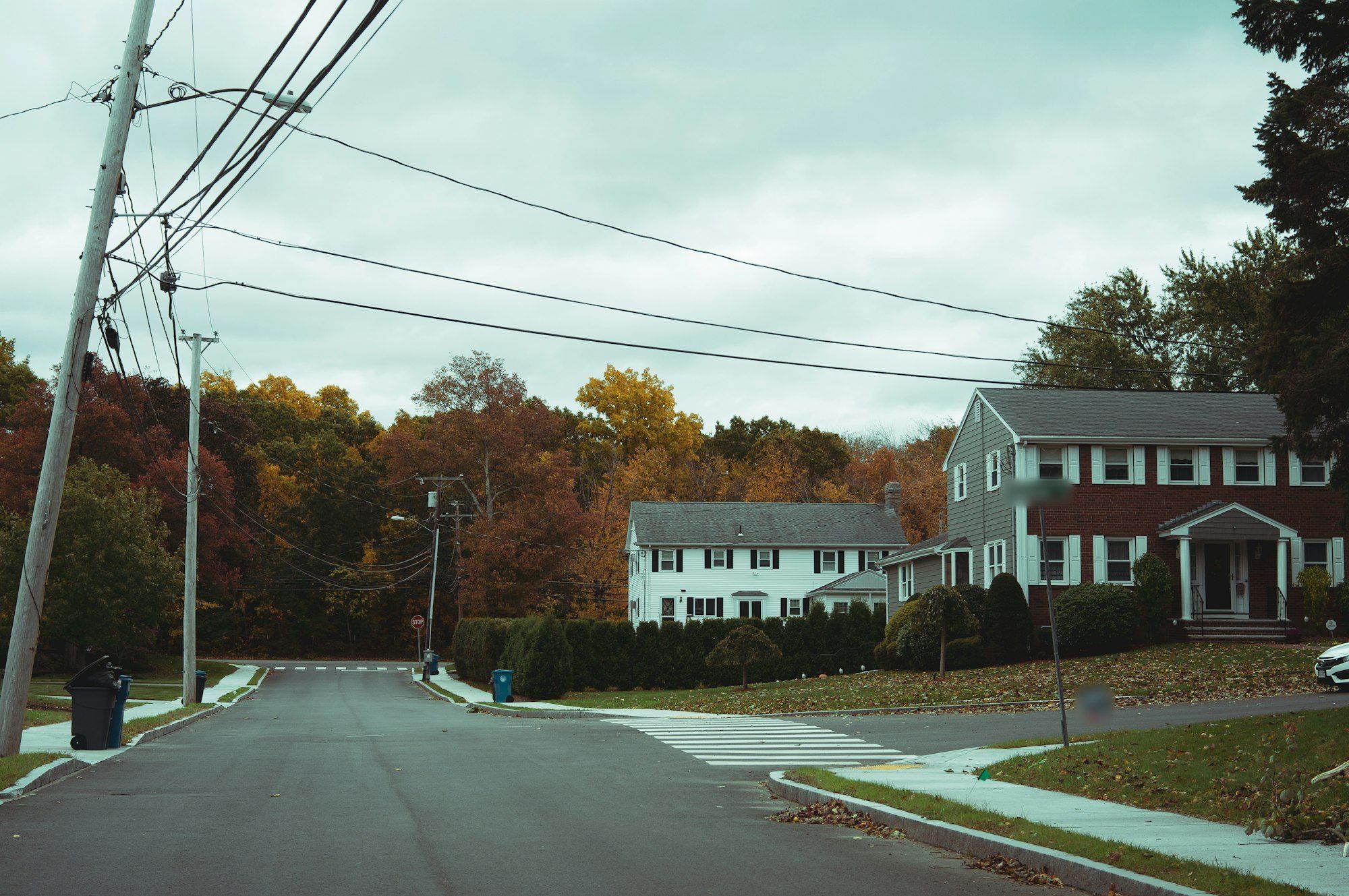 Quiet residential street with colonial houses and fall color
