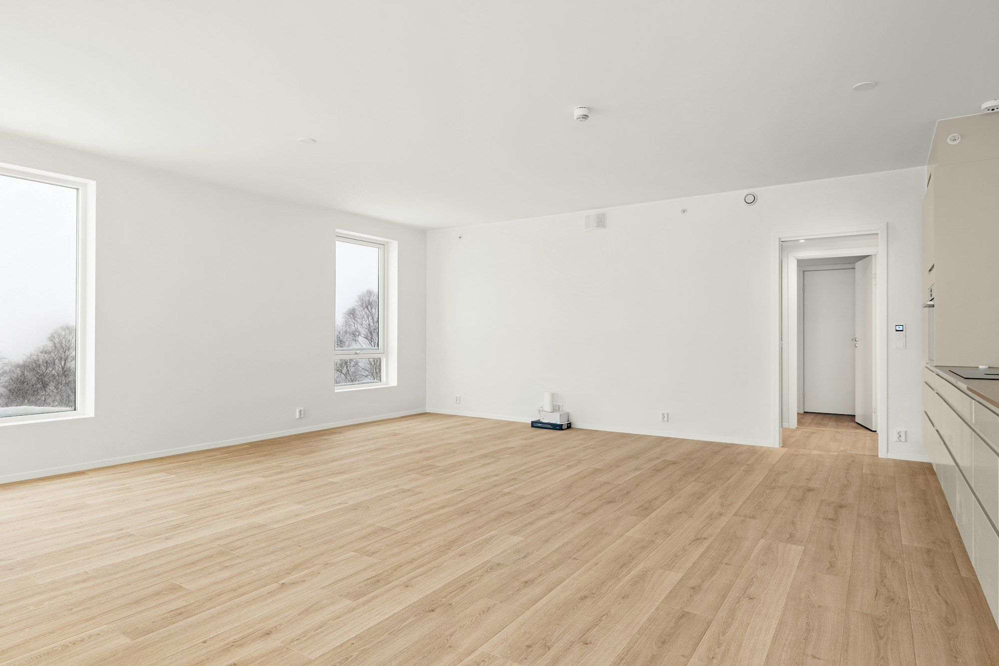 Empty bright room with pale natural white oak plank floor